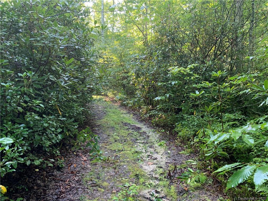 1616 Nancy Mountain Road Rosman, NC 28772 - Photo 2 of 9 Gallery Image 2