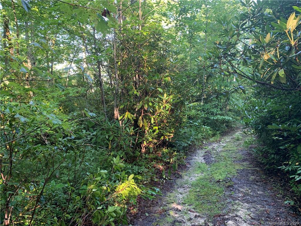 1616 Nancy Mountain Road Rosman, NC 28772 - Photo 3 of 9 Gallery Image 3