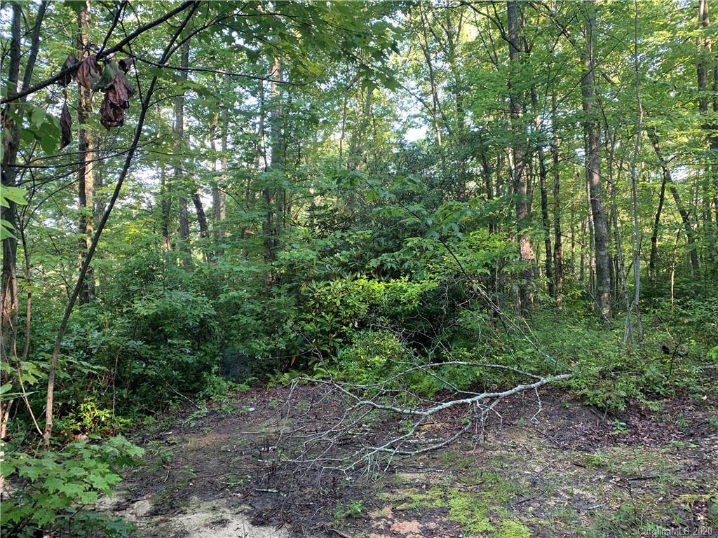 1616 Nancy Mountain Road Rosman, NC 28772 - Photo 5 of 9 Gallery Image 5