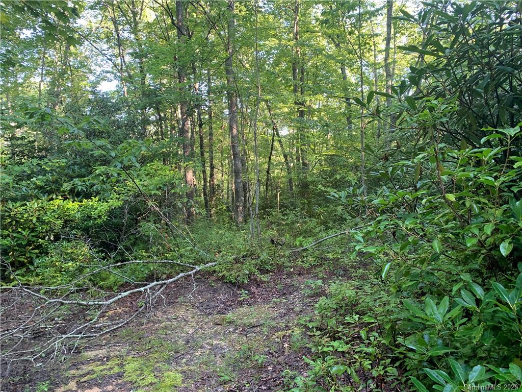 1616 Nancy Mountain Road Rosman, NC 28772 - Photo 6 of 9 Gallery Image 6