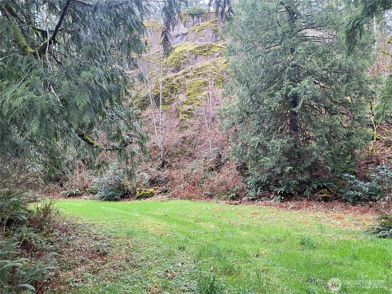 15327 May Creek Road Gold Bar, WA 98251 - Photo 4 of 35 a view of yard with green space