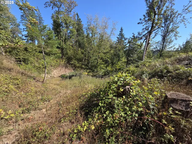 $599,000 | 14980 South Buckner Creek Road, Mulino, OR 97042