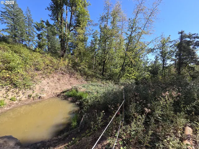 $599,000 | 14980 South Buckner Creek Road, Mulino, OR 97042