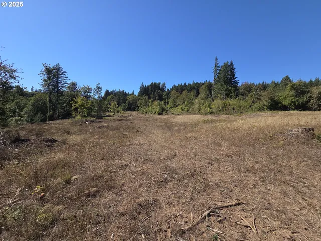 $599,000 | 14980 South Buckner Creek Road, Mulino, OR 97042