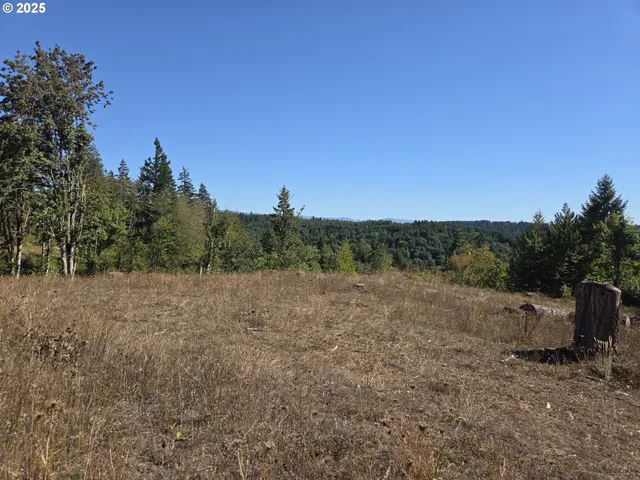 $599,000 | 14980 South Buckner Creek Road, Mulino, OR 97042