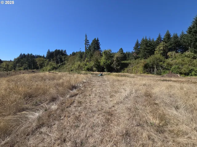 $599,000 | 14980 South Buckner Creek Road, Mulino, OR 97042