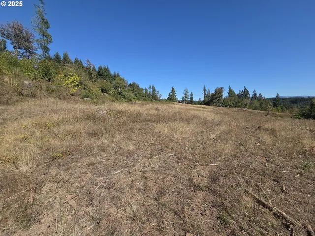 $599,000 | 14980 South Buckner Creek Road, Mulino, OR 97042