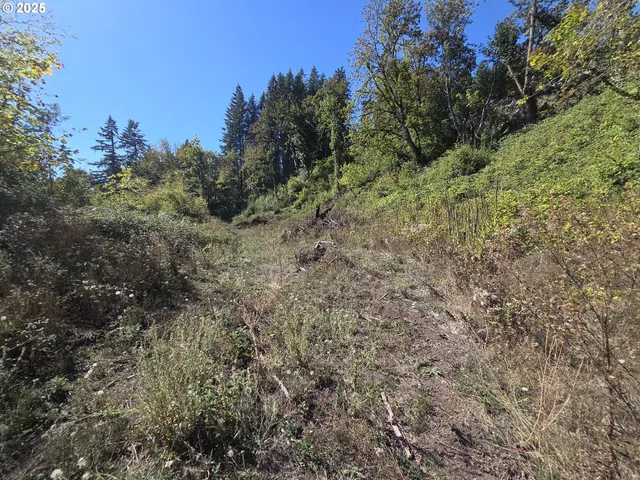 $599,000 | 14980 South Buckner Creek Road, Mulino, OR 97042