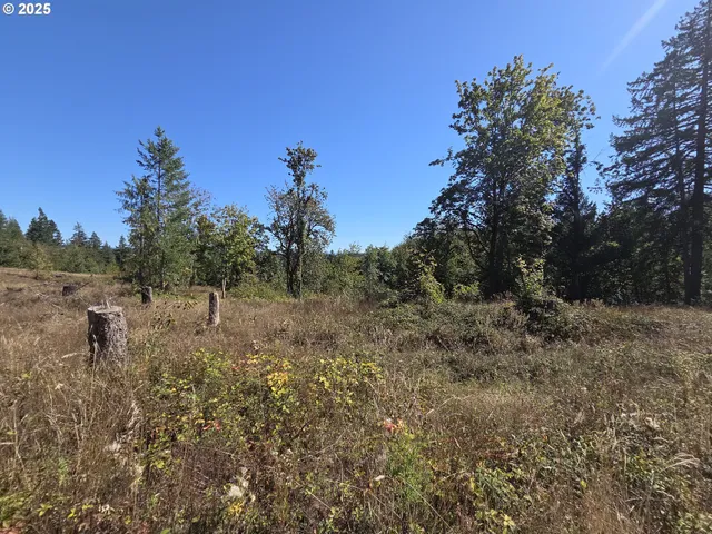 $599,000 | 14980 South Buckner Creek Road, Mulino, OR 97042