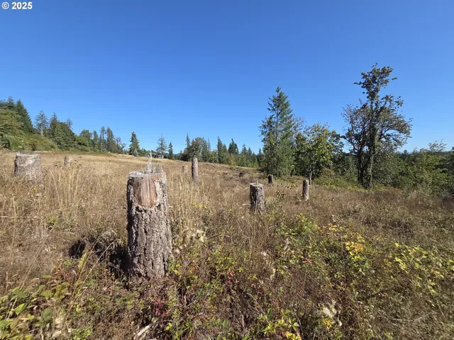 $599,000 | 14980 South Buckner Creek Road, Mulino, OR 97042