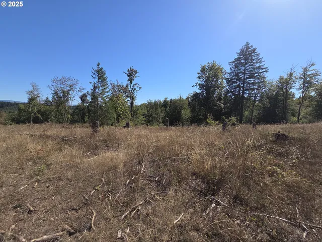 $599,000 | 14980 South Buckner Creek Road, Mulino, OR 97042