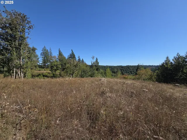 $599,000 | 14980 South Buckner Creek Road, Mulino, OR 97042