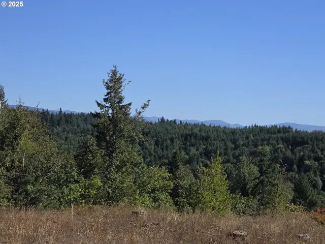 $599,000 | 14980 South Buckner Creek Road, Mulino, OR 97042