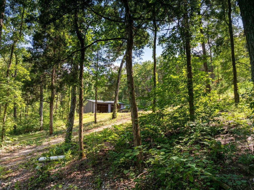 0 McElroy Road Readyville, TN 37149 - Photo 9 of 19