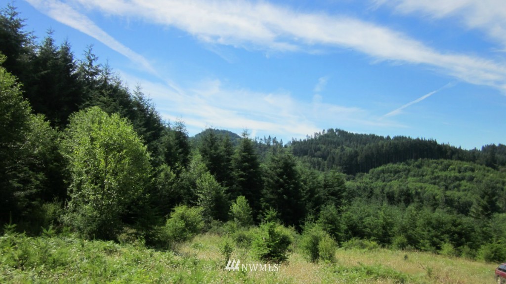 -xxx King Road Winlock, WA 98596 - Photo 1 of 25 Gallery Image 1