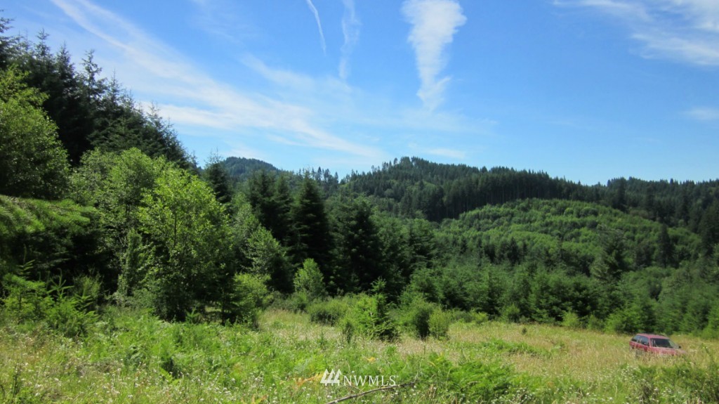 -xxx King Road Winlock, WA 98596 - Photo 2 of 25 Gallery Image 2