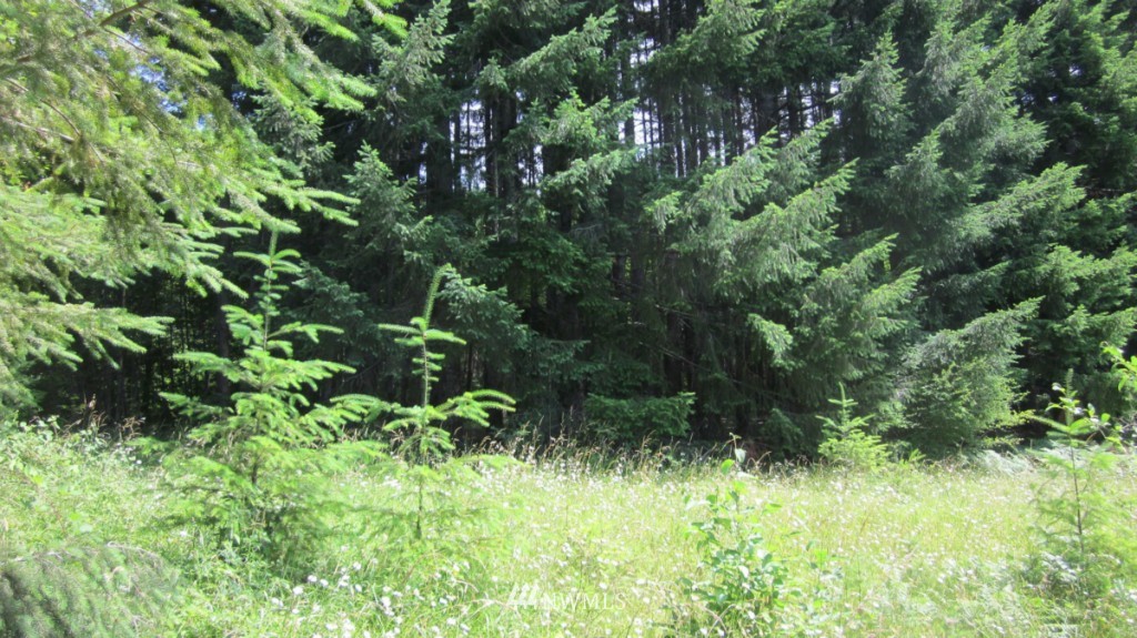 -xxx King Road Winlock, WA 98596 - Photo 11 of 25 Gallery Image 11