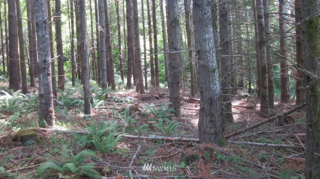 -xxx King Road Winlock, WA 98596 - Photo 12 of 25 Gallery Image 12