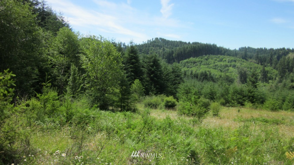 -xxx King Road Winlock, WA 98596 - Photo 15 of 25 Gallery Image 15