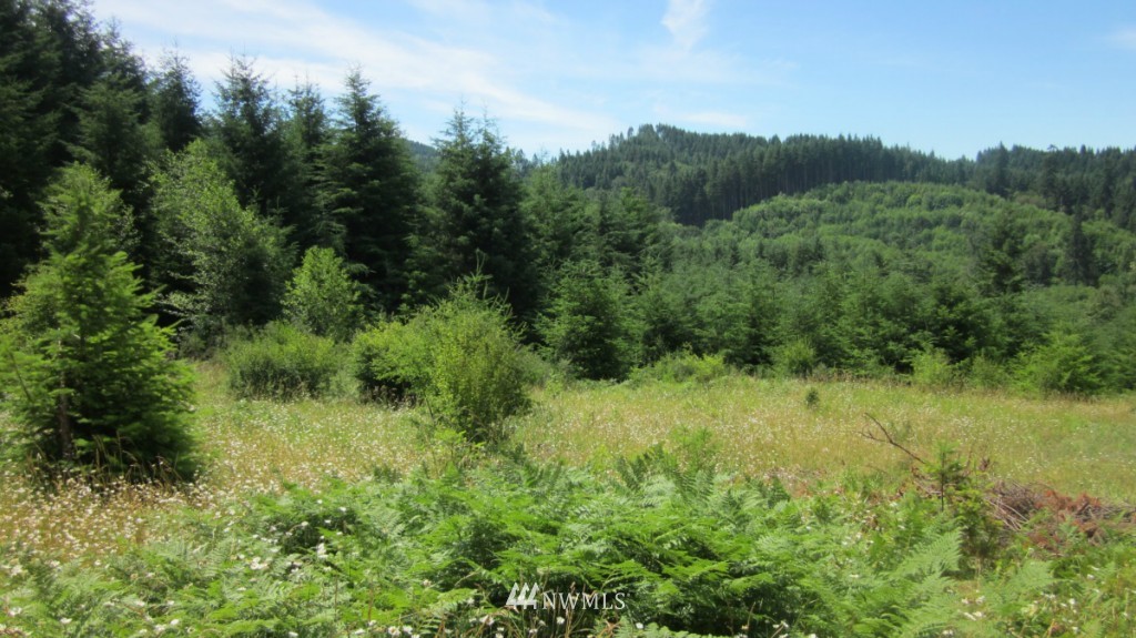 -xxx King Road Winlock, WA 98596 - Photo 16 of 25 Gallery Image 16
