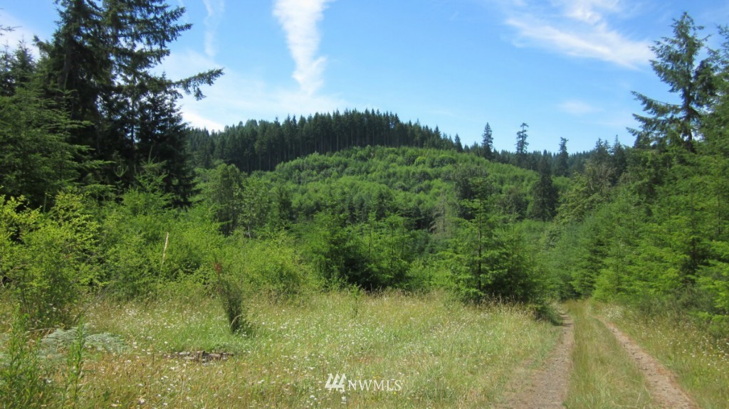 -xxx King Road Winlock, WA 98596 - Photo 17 of 25 Gallery Image 17
