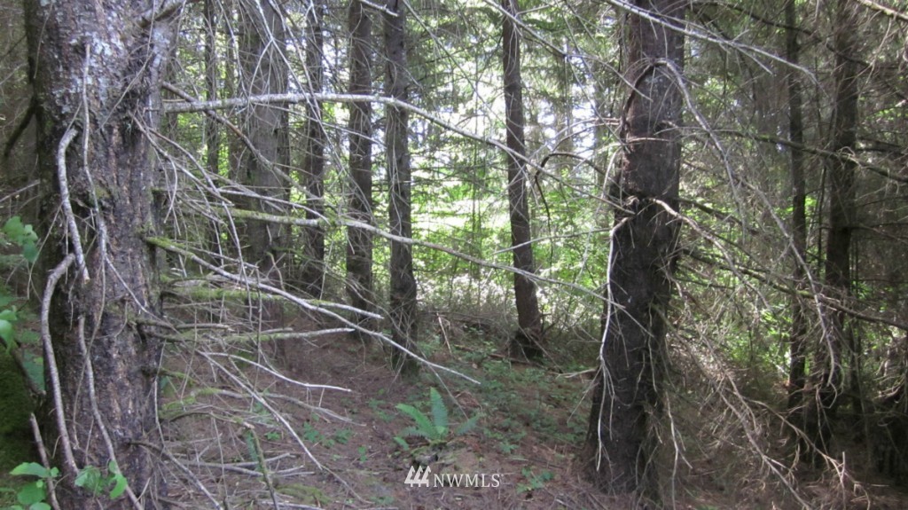 -xxx King Road Winlock, WA 98596 - Photo 18 of 25 Gallery Image 18