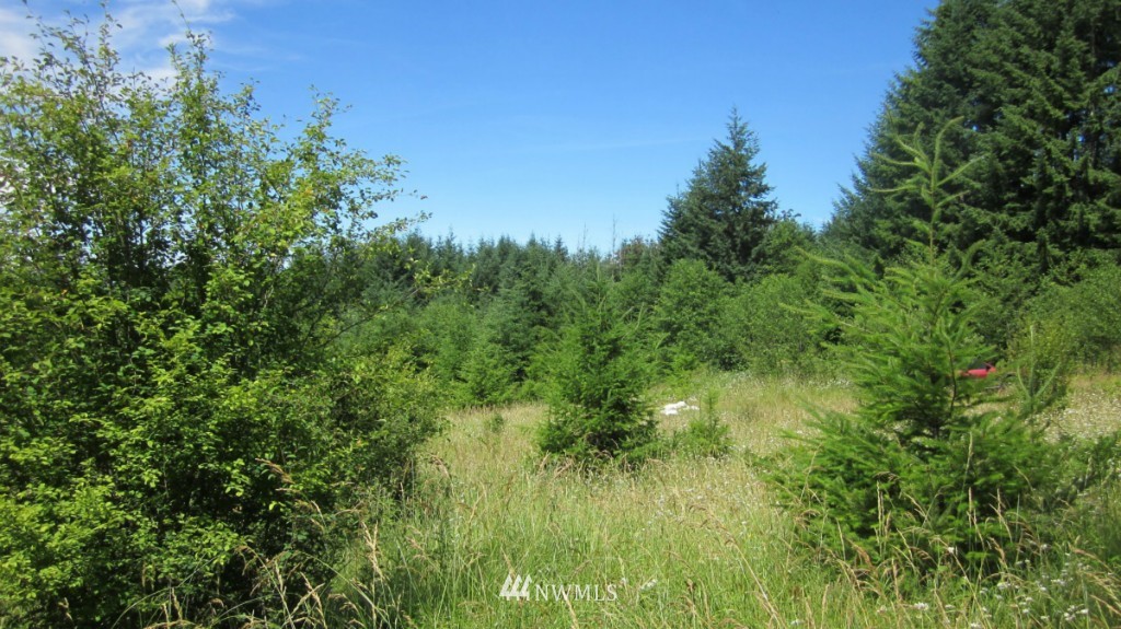 -xxx King Road Winlock, WA 98596 - Photo 19 of 25 Gallery Image 19