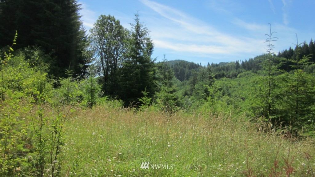 -xxx King Road Winlock, WA 98596 - Photo 3 of 25 Gallery Image 3