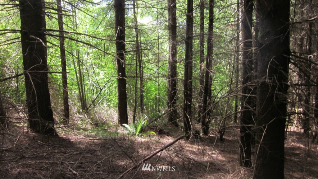 -xxx King Road Winlock, WA 98596 - Photo 21 of 25 Gallery Image 21