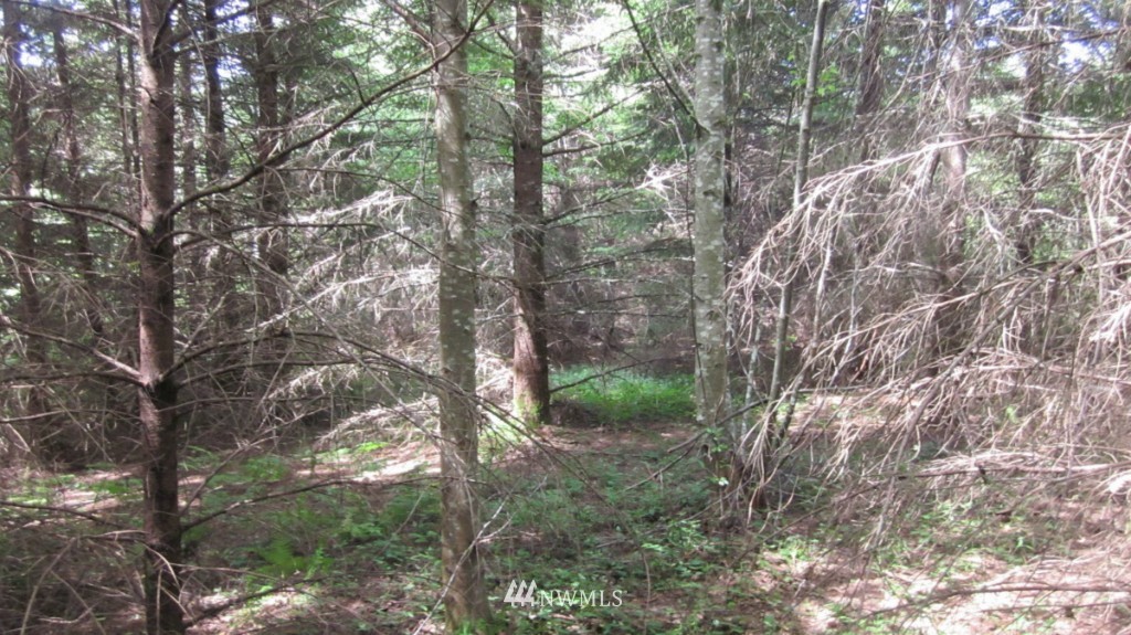 -xxx King Road Winlock, WA 98596 - Photo 22 of 25 Gallery Image 22