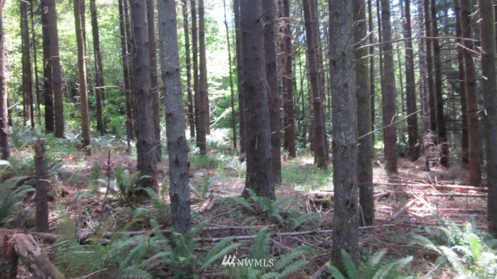 -xxx King Road Winlock, WA 98596 - Photo 23 of 25 Gallery Image 23