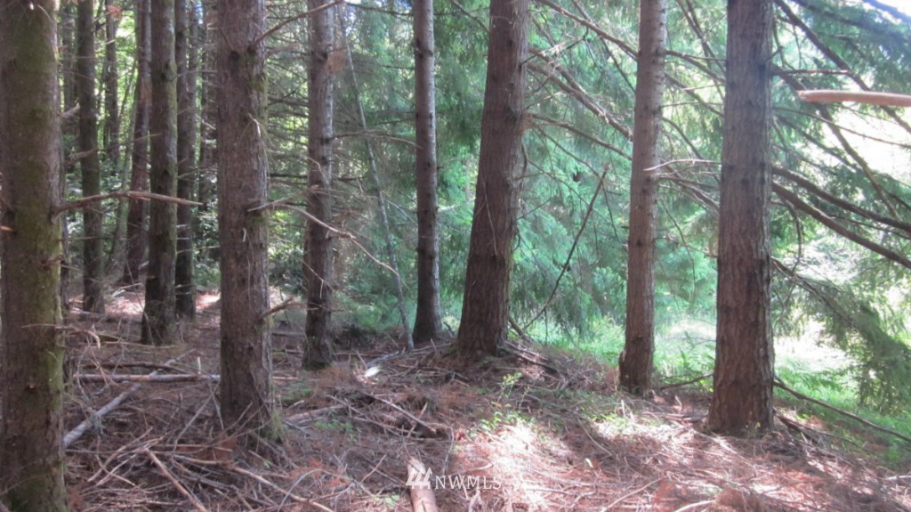 -xxx King Road Winlock, WA 98596 - Photo 24 of 25 Gallery Image 24