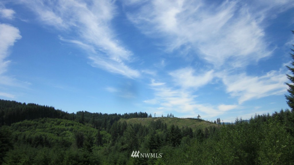 -xxx King Road Winlock, WA 98596 - Photo 25 of 25 Gallery Image 25