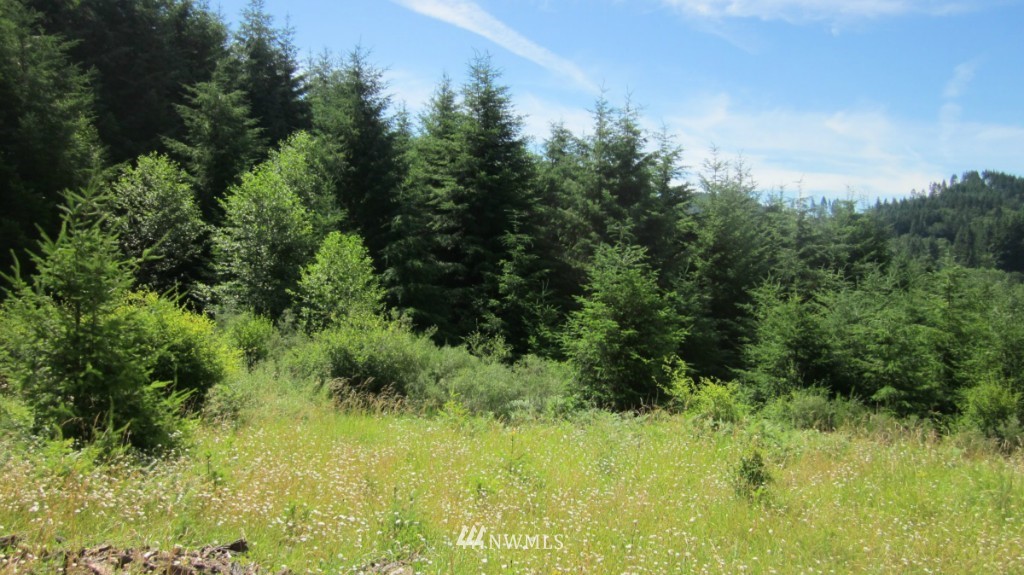 -xxx King Road Winlock, WA 98596 - Photo 5 of 25 Gallery Image 5