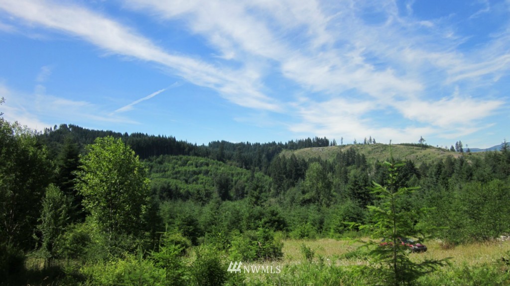 -xxx King Road Winlock, WA 98596 - Photo 6 of 25 Gallery Image 6