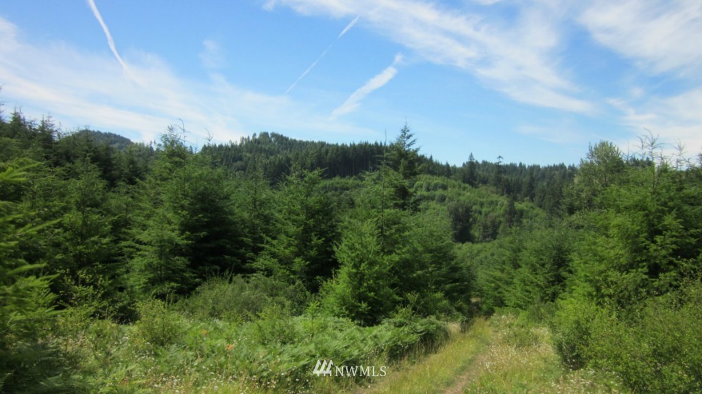 -xxx King Road Winlock, WA 98596 - Photo 10 of 25 Gallery Image 10
