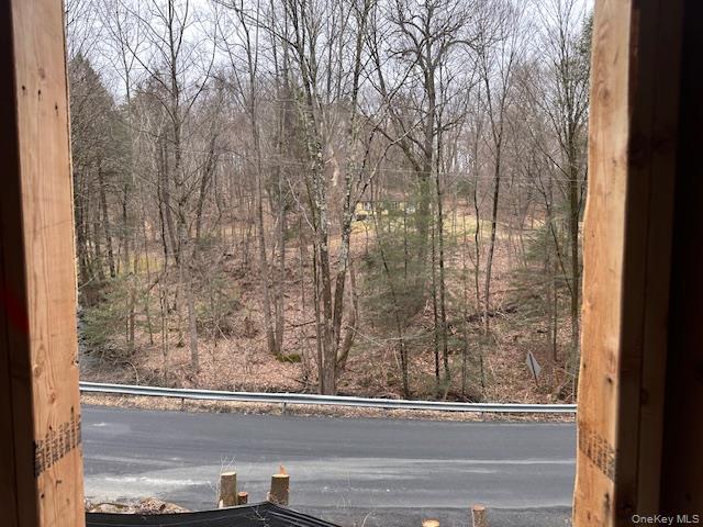 525 Mill Brook Drive Esopus, NY 12466 - Photo 3 of 17 a view of a wooden door and a window