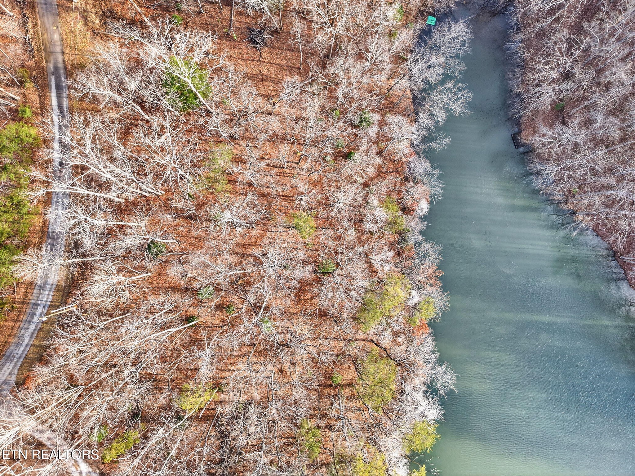 0 Indian Rock Loop Crossville, TN 38572 - Photo 15 of 24