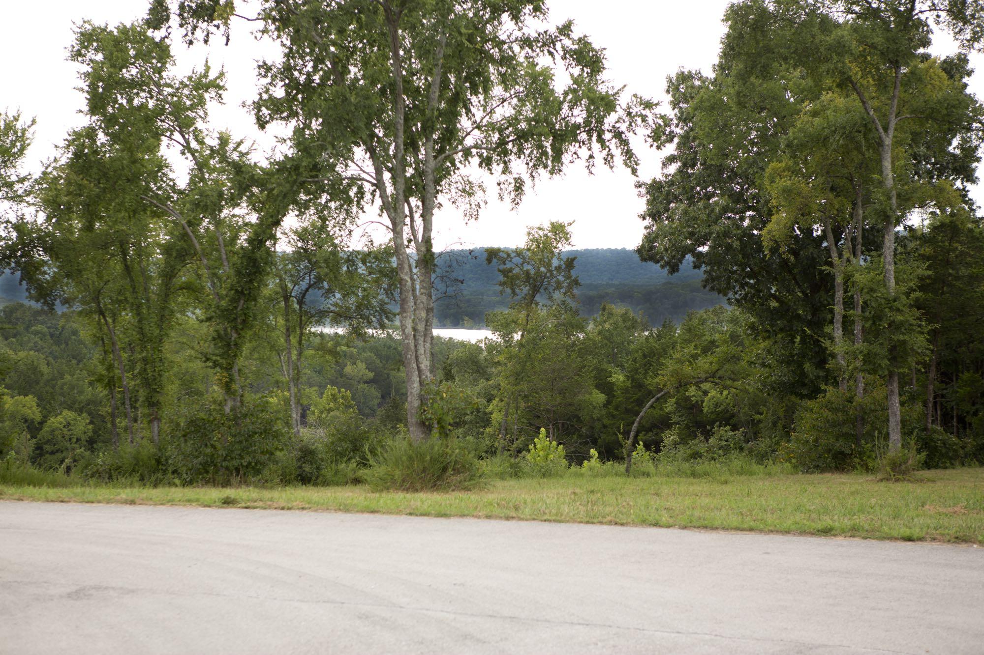 12 Chablis Road Lampe, MO 65681 - Photo 1 of 1 Front Lake view