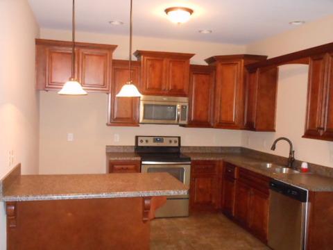 294A Blackey Bandy Road, Unit 294B Bethpage, TN 37022 - Photo 6 of 17 Gallery Image 6
