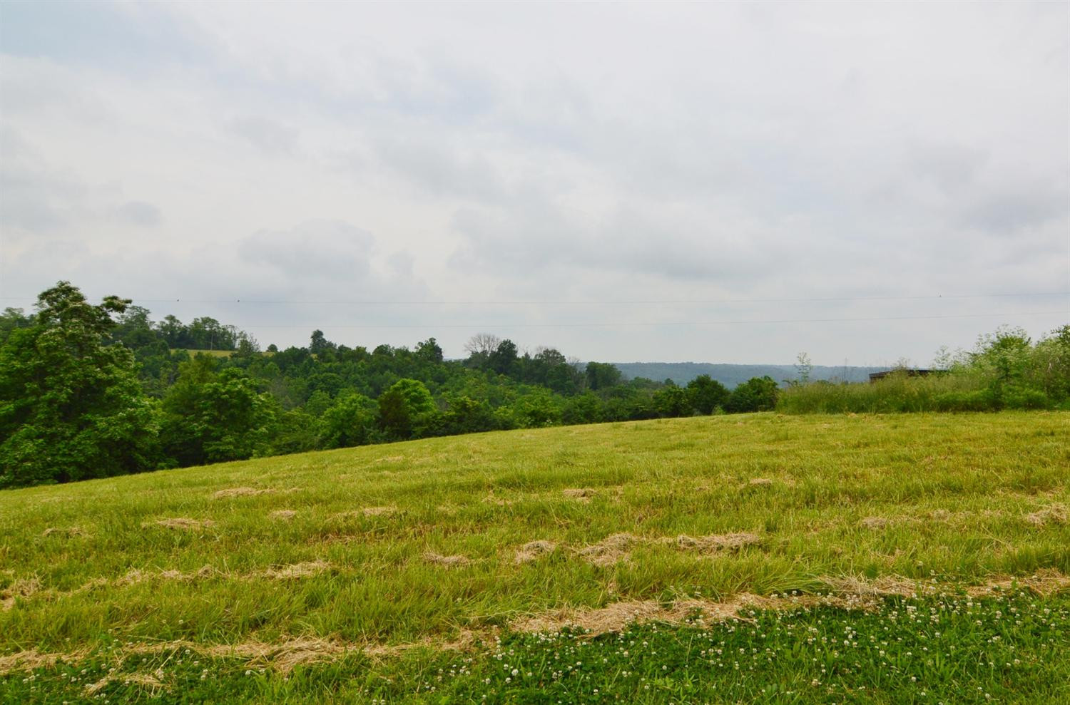 3561 Moffett Road Morning View, KY 41063 - Photo 7 of 8 Gallery Image 7
