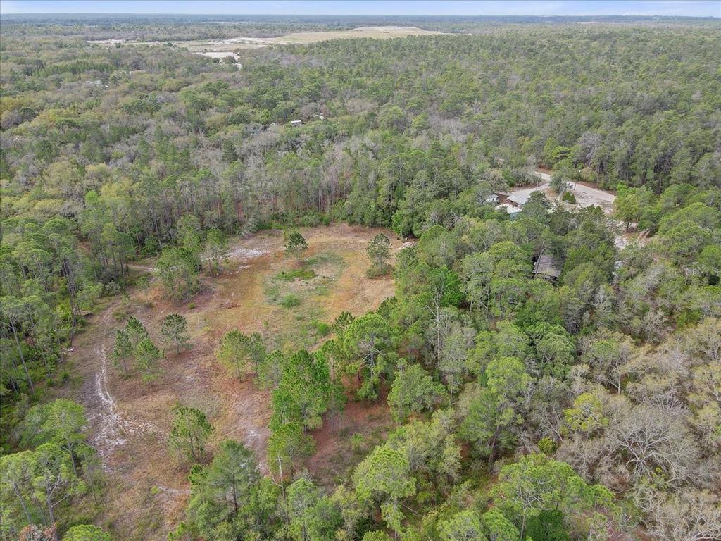 17528 Coyote Road Hudson, FL 34667 - Photo 51 of 60