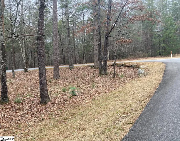 $40,000 | 105 Chicory Lane, Sunset, SC 29685