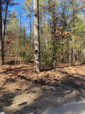 $40,000 | 105 Chicory Lane, Sunset, SC 29685