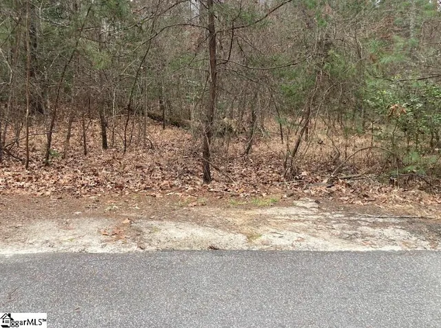 $40,000 | 105 Chicory Lane, Sunset, SC 29685