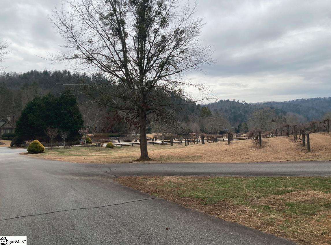 105 Chicory Lane Sunset, SC 29685 - Photo 7 of 12