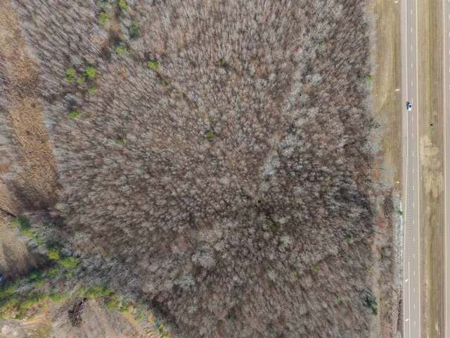 a view of a dry yard with trees