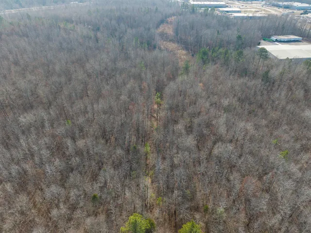 a view of a dry yard