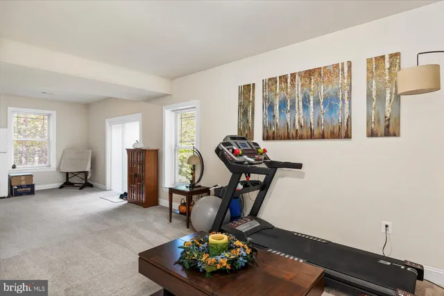 a view of a forest with trees