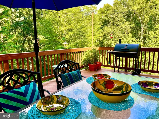 a view of a garden with plants and large trees